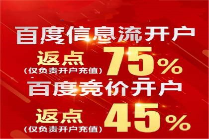 百度搜索推广实战技巧：成功案例启示录